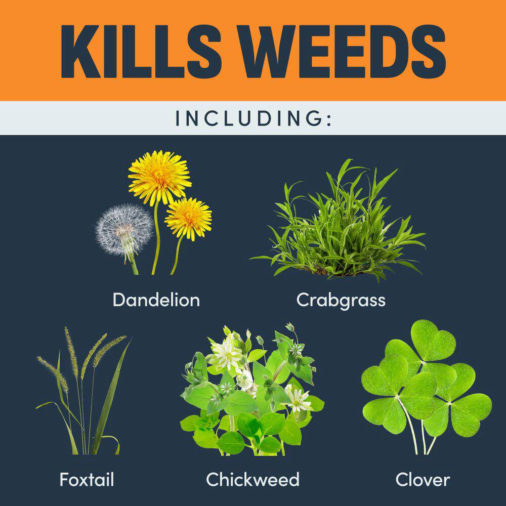 image-crab-weed-killer-rts-alt-5