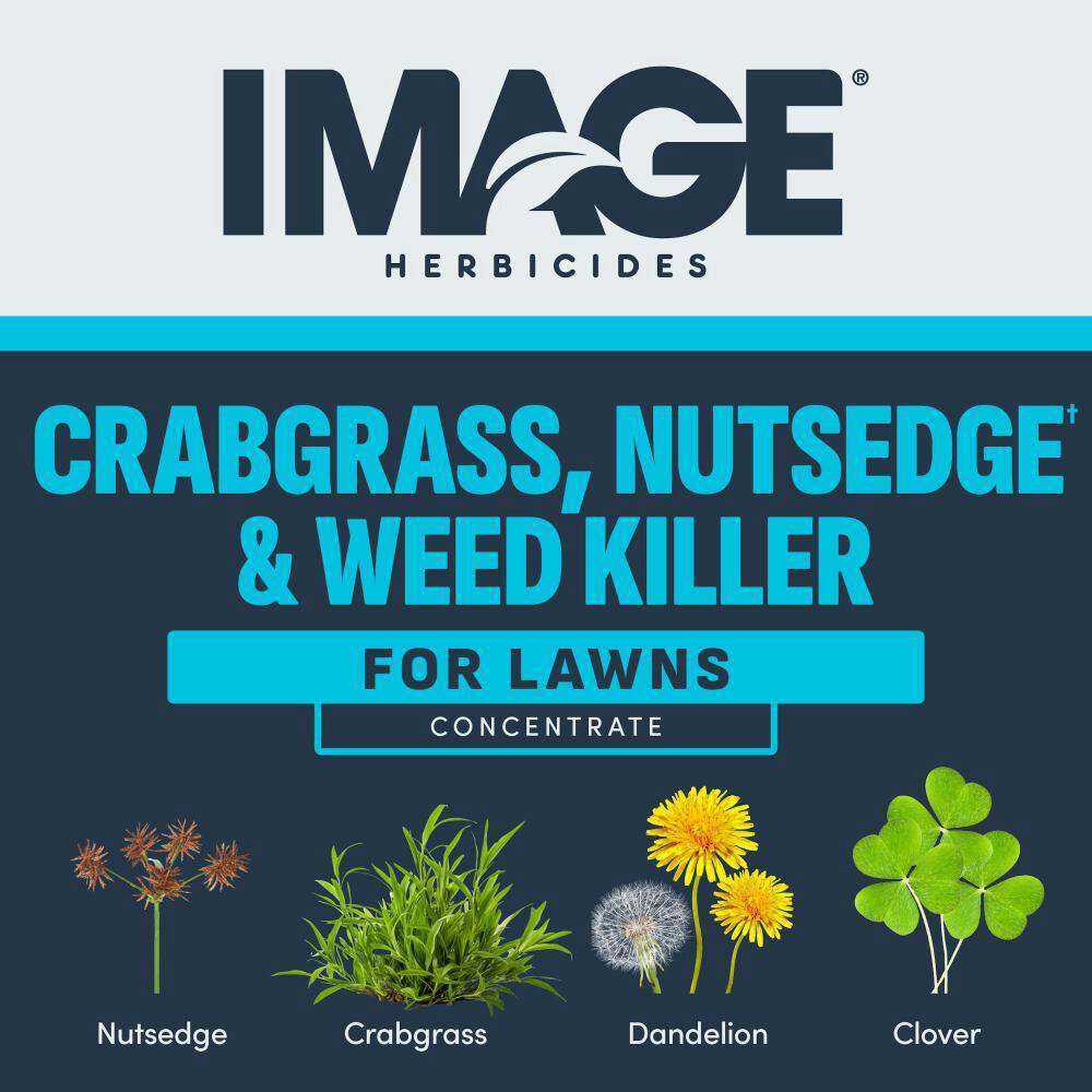 image-crabgrass-nutsedge-weed-killer-concentrate-alt-1