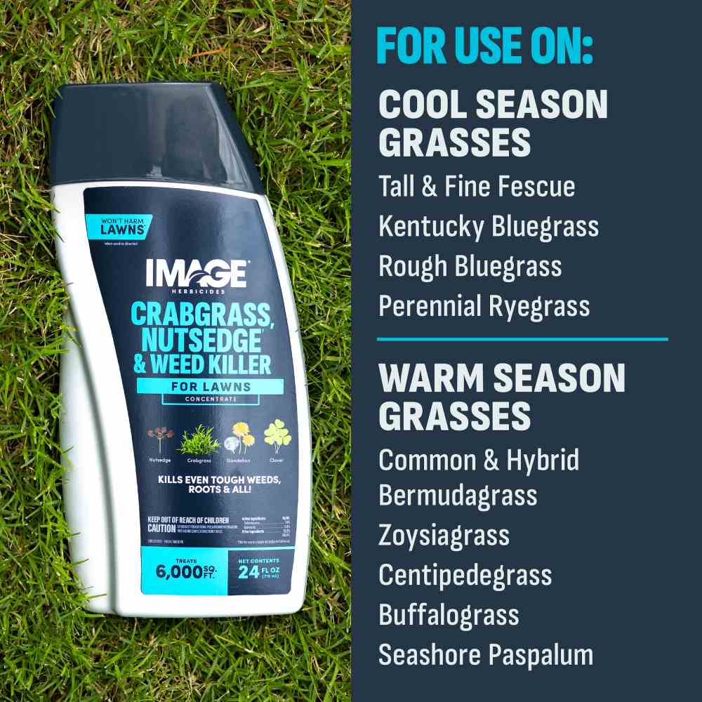 image-crabgrass-nutsedge-weed-killer-concentrate-alt-7