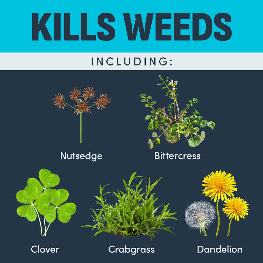 image-crabgrass-nutedge-weed-killer-rts-alt-5