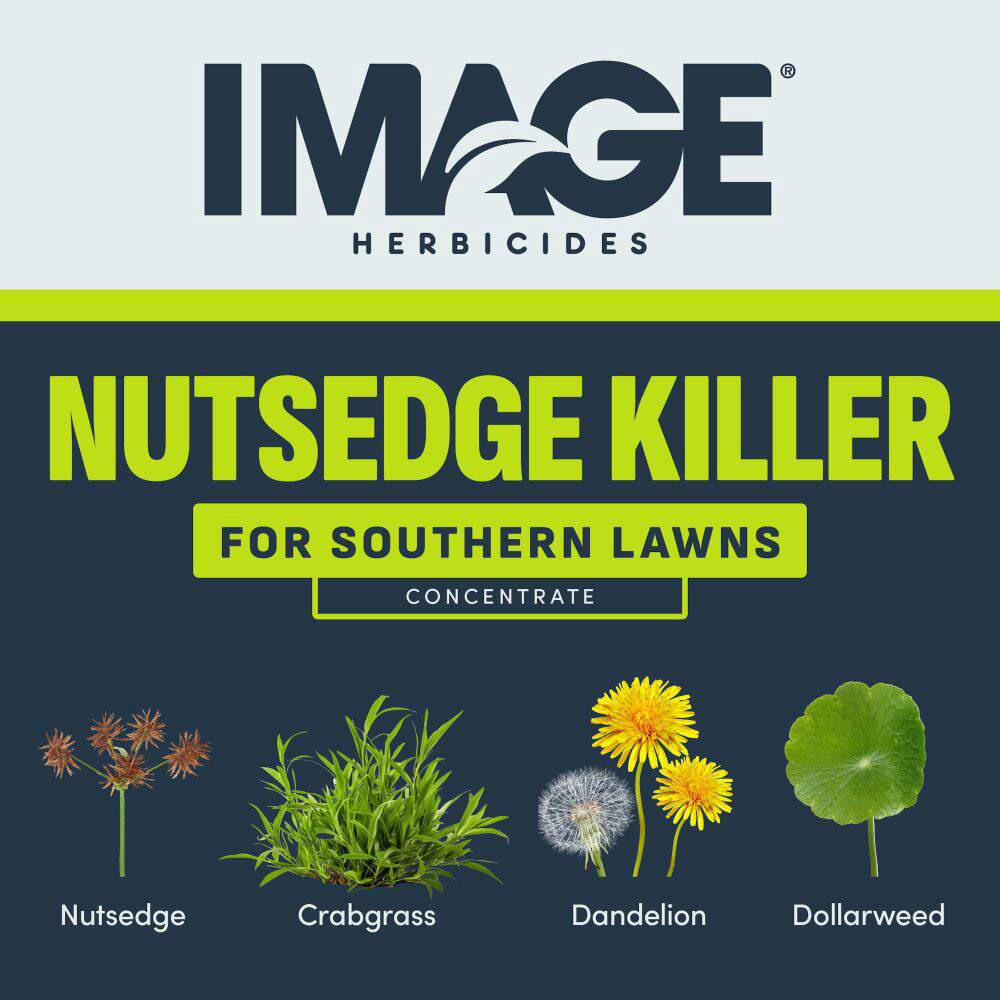 image-nutsedge-killer-concentrate-alt-1