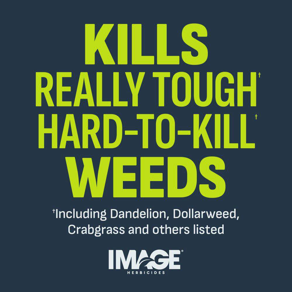 image-nutsedge-killer-concentrate-alt-4