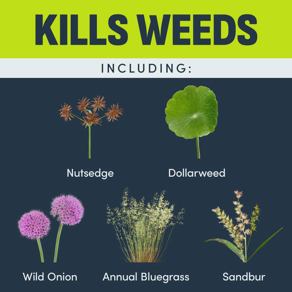 image-nutsedge-killer-rts-alt-5