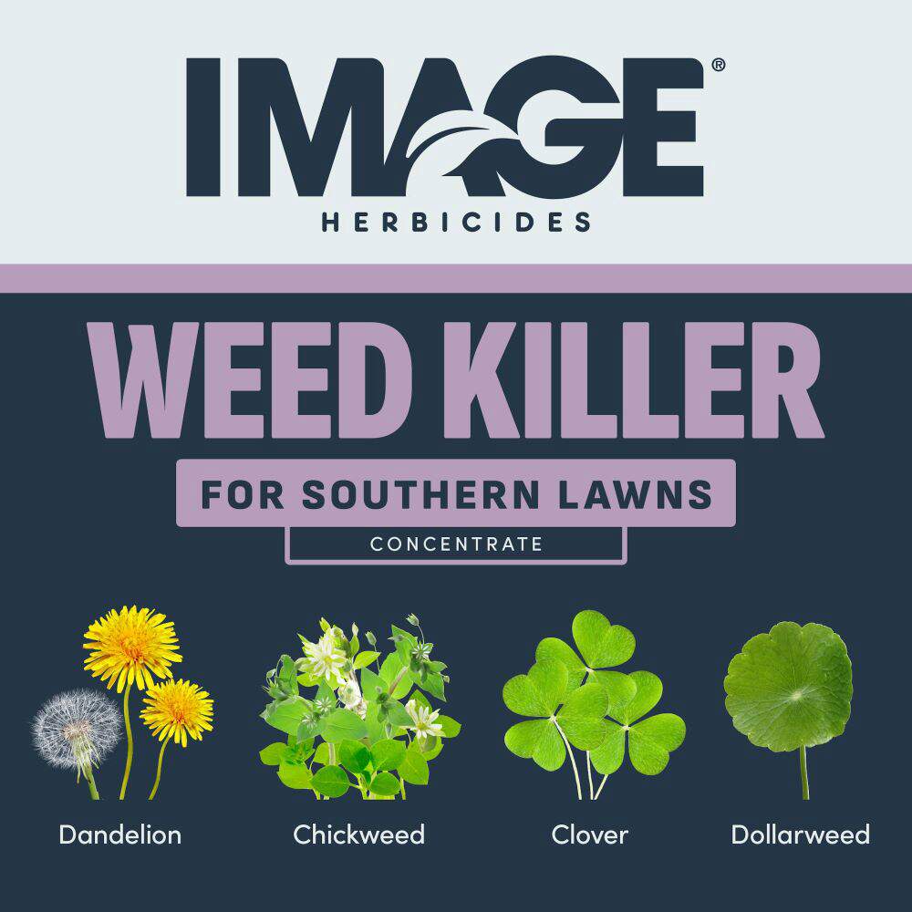 image-weed-killer-southern-lawns-concentrate-alt-1