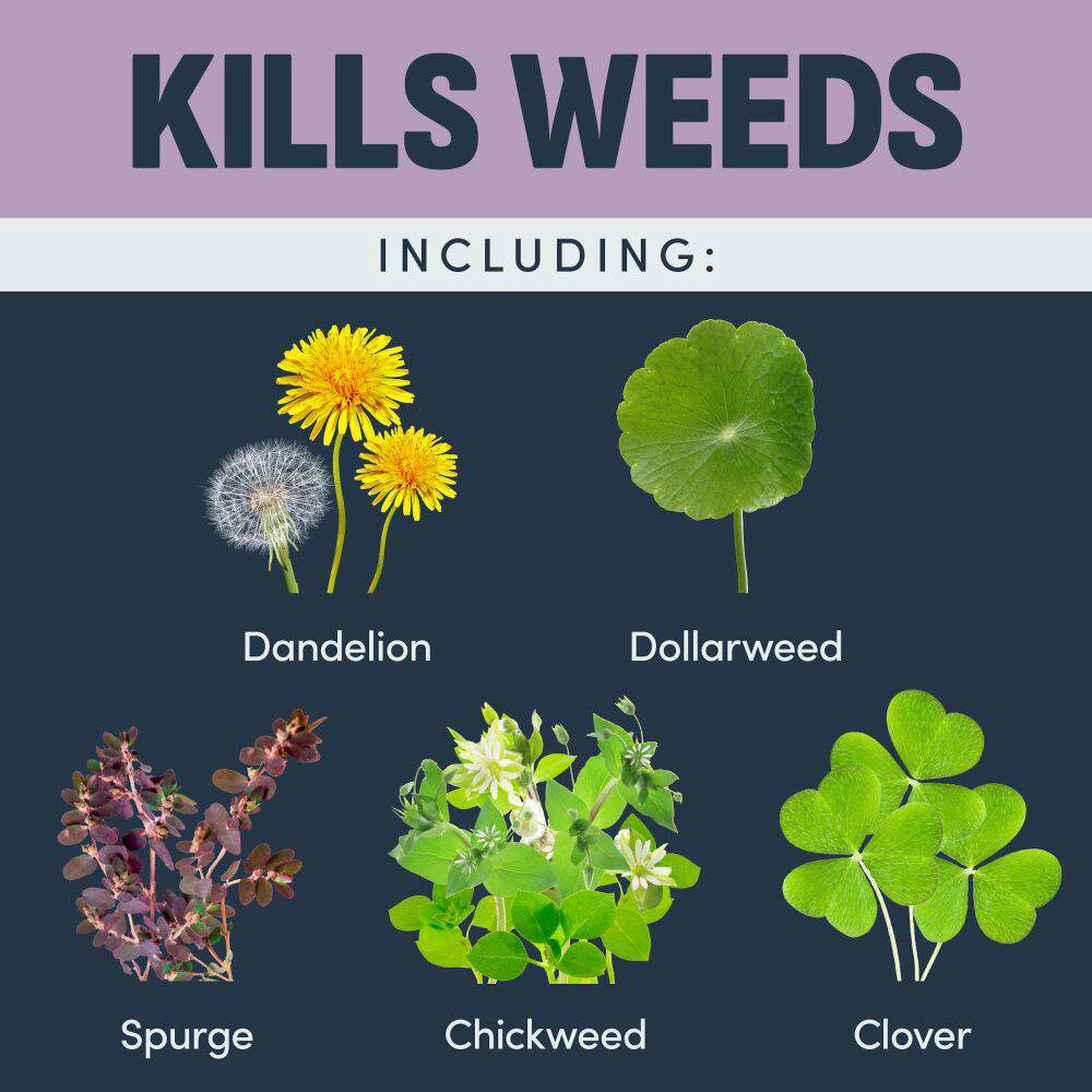 image-weed-killer-southern-lawns-rts-alt-5