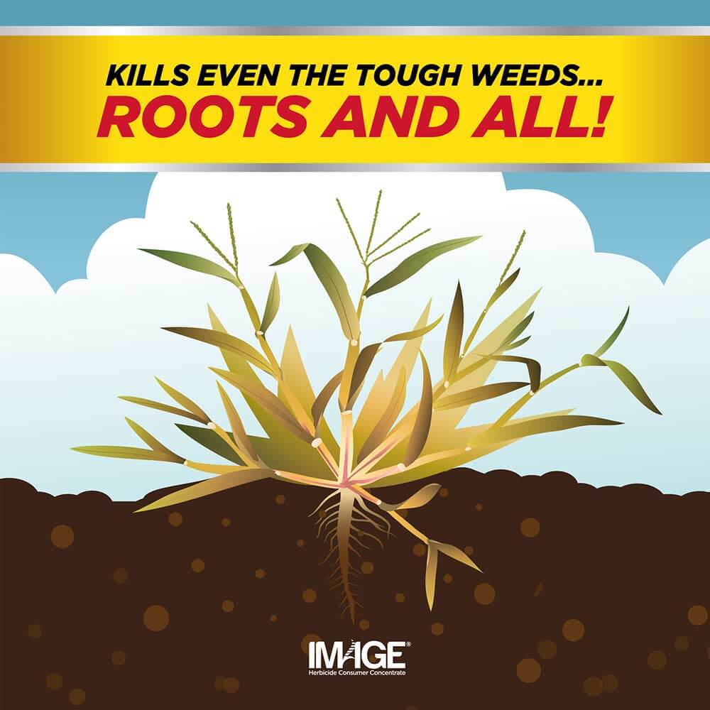 Image Crabgrass Killer Concentrate kills even the tough weeds... roots and all!